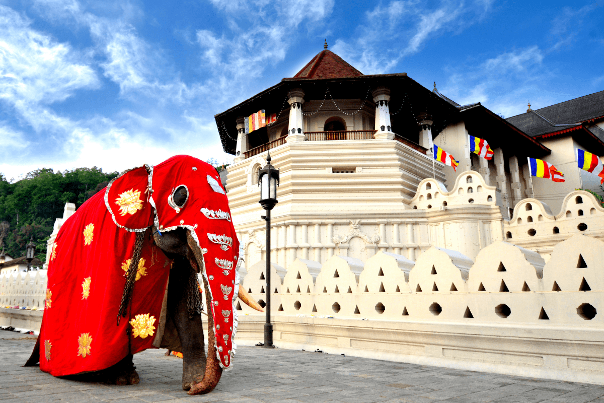 5 Day Sri Lanka Highlights in Sri Lanka