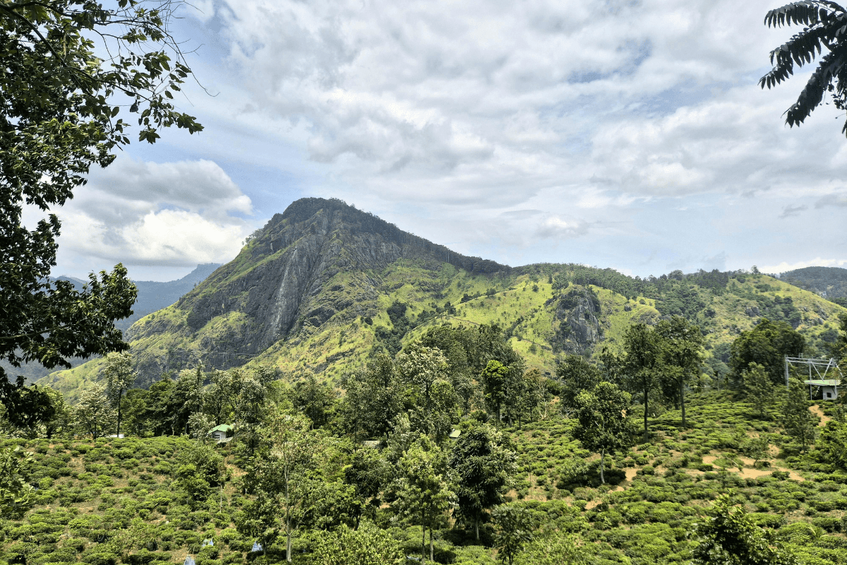 How the guide team keeps adventure practical, clear, and matched to the group. in Sri Lanka
