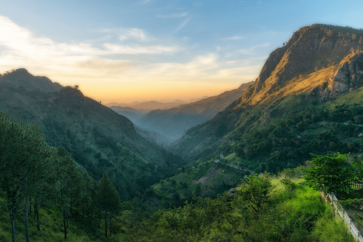 Tell us the trip you're dreaming of. in Sri Lanka