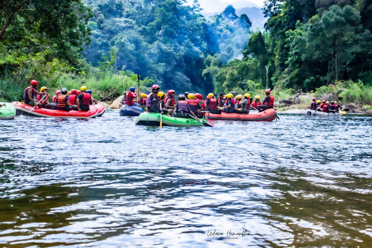 A large group spread across several rafts on the Kelani River with dense Kitulgala rainforest on both banks