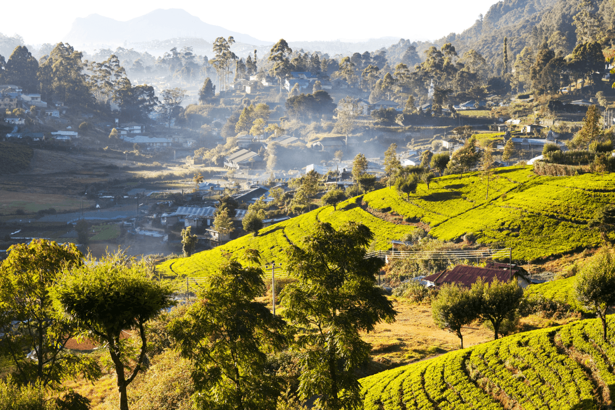 Canyoning in Kitulgala and Waterfall Abseiling Guide in Sri Lanka