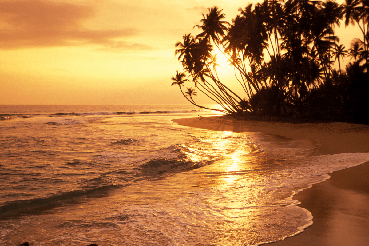 Let's start planning your Sri Lankan adventure. in Sri Lanka