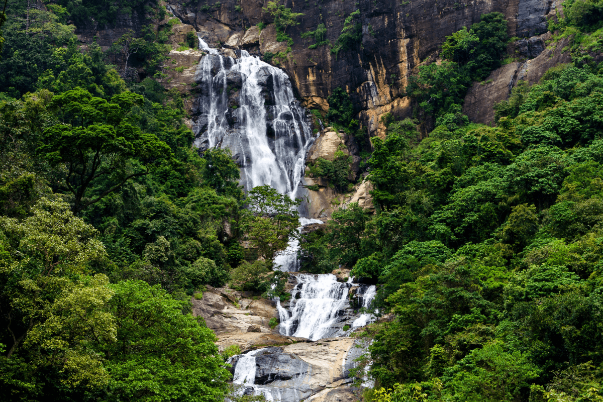 Zip Lining in Kitulgala