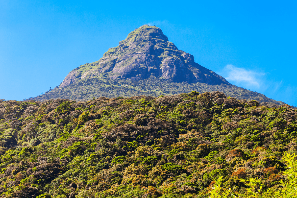 First-Time Sri Lanka Itinerary: Adventure, Culture, Wildlife and Beaches in Sri Lanka