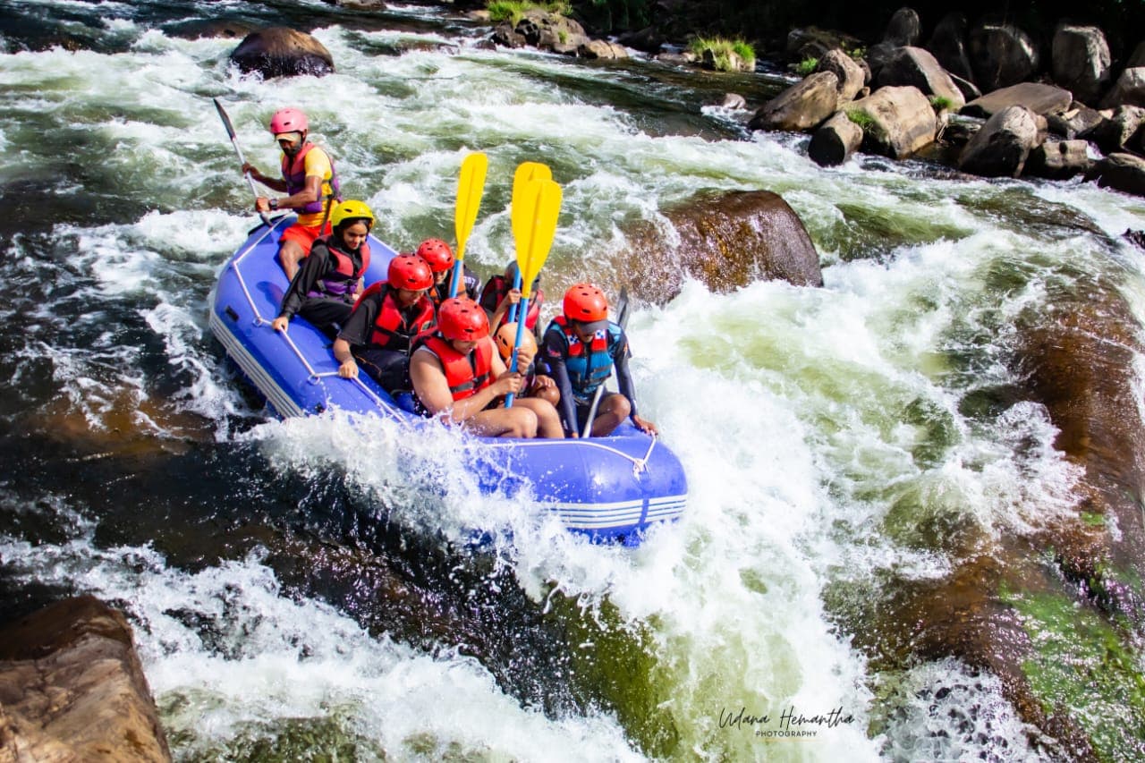 A raft crew with paddles raised in bright sunshine on the Kelani River at Kitulgala