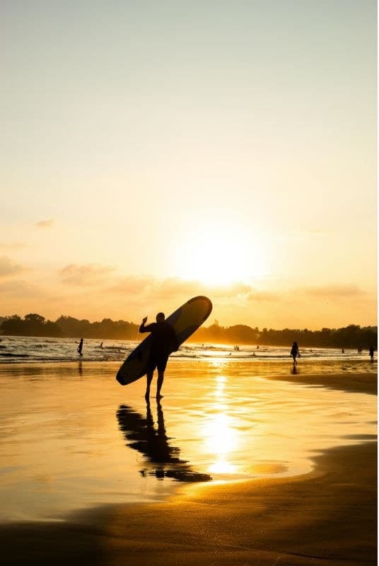 Surfer riding a wave on Sri Lanka's south coast on an Xclusive Adventures beach day