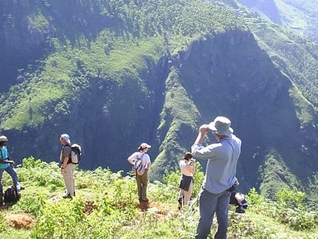 Rainforest Hiking & Birding